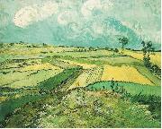 Vincent Van Gogh Wheatfield at Auvers under Clouded Sky Spain oil painting artist